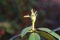 T-20150308-143606_IMG_9213-7a aa